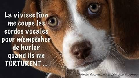 HORREUR_HORREUR_115601629