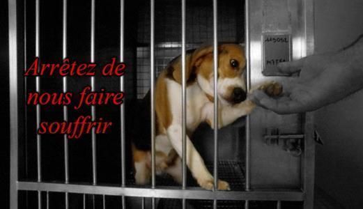 petition-img-35116-fr