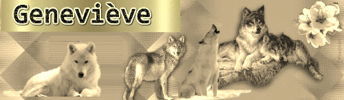 y-prenom-genevieve.gif